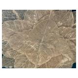 GBR - Framed Botanical Leaf Wall Art GBR - Framed Botanical Leaf Wall Art