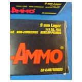 (100) Rounds Two 50-round boxes of TulAmmo 9mm Luger ammunition.