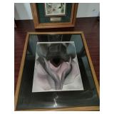 These items appear to be vintage, framed botanical and nature prints, including works that resemble De Jonge flower art