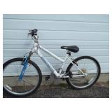 Roadmaster Bike