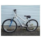 Roadmaster Bike