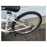 Roadmaster Bike