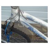 Roadmaster Bike