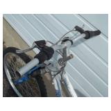 Roadmaster Bike