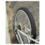 Roadmaster Bike