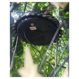 Hanging Star Globe Light Fixture
