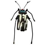 Gabriele Gould Beetle Pendant Necklace