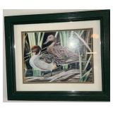 Set of 4 Framed Duck Wildlife Prints in Green Wood Frames