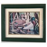 Set of 4 Framed Duck Wildlife Prints in Green Wood Frames