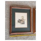 Set of 4 Framed Signed Duck Prints Mallard Teal Wood Duck Pintail Oak Frames