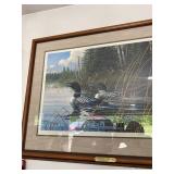 Michael Sieve Northern Song Common Loon Framed Print 243/950