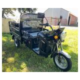 2026 SDLANCH Electric Tricycle (ET13) - Red - photos will be updated to show correct color