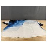 Blue and White Men's Button Down Short Sleeve Shirt and Short Set - Size M - Brand New