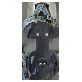 L.L. Bean Winter Walker 26' Aluminum Snowshoes