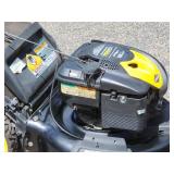 Brute Lawnmower Powered by Briggs & Stratton