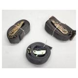 (3) Large Cargo Straps