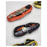 Assorted Cargo Ratchet Straps