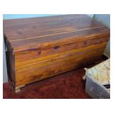 Cedar Trunk