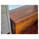 Cedar Trunk