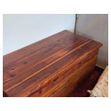 Cedar Trunk