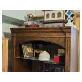 Lighted Wood Display Cabinet with Lower Storage and Drawer