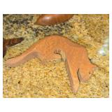 Lot of (3) Wood Décor - Fish, Fish and Squirrel