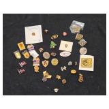 Lot of (36) Small Pins (assorted)