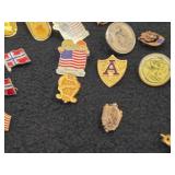 Lot of (36) Small Pins (assorted)