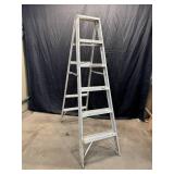 6 Step Aluminum Ladder