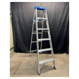 6 Step Aluminum Ladder