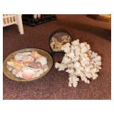 Coastal Decor Lot Coral Specimen Shell Bowl Asian Cork Diorama