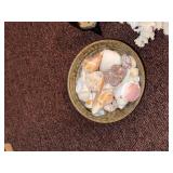Coastal Decor Lot Coral Specimen Shell Bowl Asian Cork Diorama