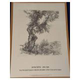 Anna Ticho Olive Tree Israel Museum Collection Framed Art Print
