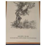 Anna Ticho Olive Tree Israel Museum Collection Framed Art Print