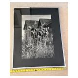 Framed Black-and-White Foxtail Grass Photograph - 20 X 27 in