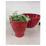 Vintage Garden Decor Lot Red Planters Watering Can Poppy Sprinkler