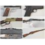 Absolute Online Auction of Firearms