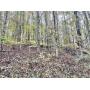 8.79+/- Acre Upshur County Land 