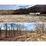 157+/- Acre Doddridge County, WV Land 
