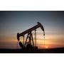 Taylor Co, WV, Oil, Gas & Coal Rights, 233.77 +/- Net Acres 
