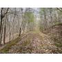 20 +/- Acre Clay County WV Land