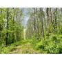 Taylor County, WV 93+/- Acres and 2 Lots 