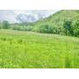 19 +/- Acre Doddridge County WV Land 