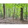 5+/- Acres Jefferson County WV Building Site 