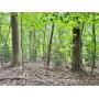 5+/- Acres Jefferson County WV Building Site 