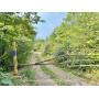 39+/- Acre Clay County Land 