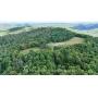Barbour County 27+/- Acres and 3 Bedroom Barndominium 