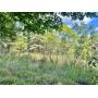 47+/- Acre Roane County Land 