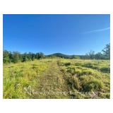 86 +/- Acre Doddridge County Land 