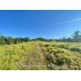 86 +/- Acre Doddridge County Land 